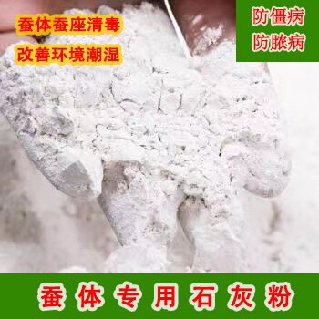蚕宝宝专用石灰粉小蚕宝实用工具消菌杀毒防潮养蚕病脱皮清理卫生