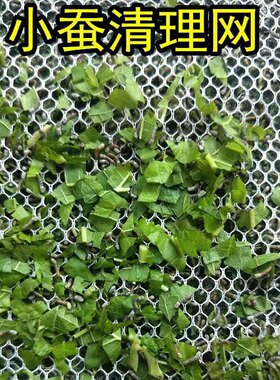蚕宝宝清洁网适合大蚕小蚕养蚕专用工具滤网大小尺寸任选