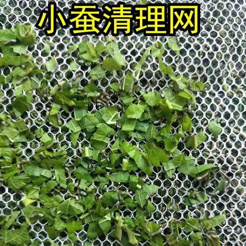 蚕宝宝清洁网适合大蚕小蚕养蚕专用工具滤网大小尺寸任选