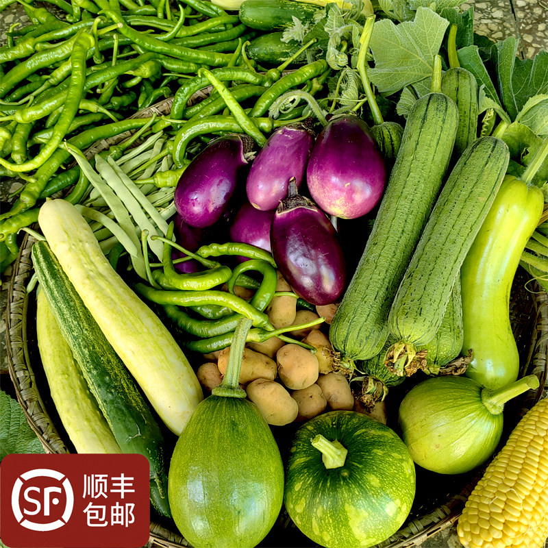 农家自种小菜辣椒茄子丝瓜嫩南瓜白黄瓜苦瓜混搭新鲜当季蔬菜湖南
