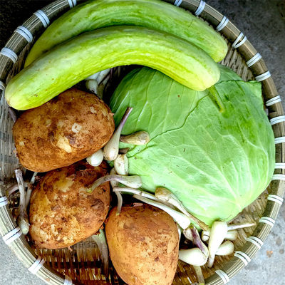 新鲜蔬菜混搭盲盒辣椒土洋芋豆包菜窝笋蒜苔农家应季小菜湖南郴州