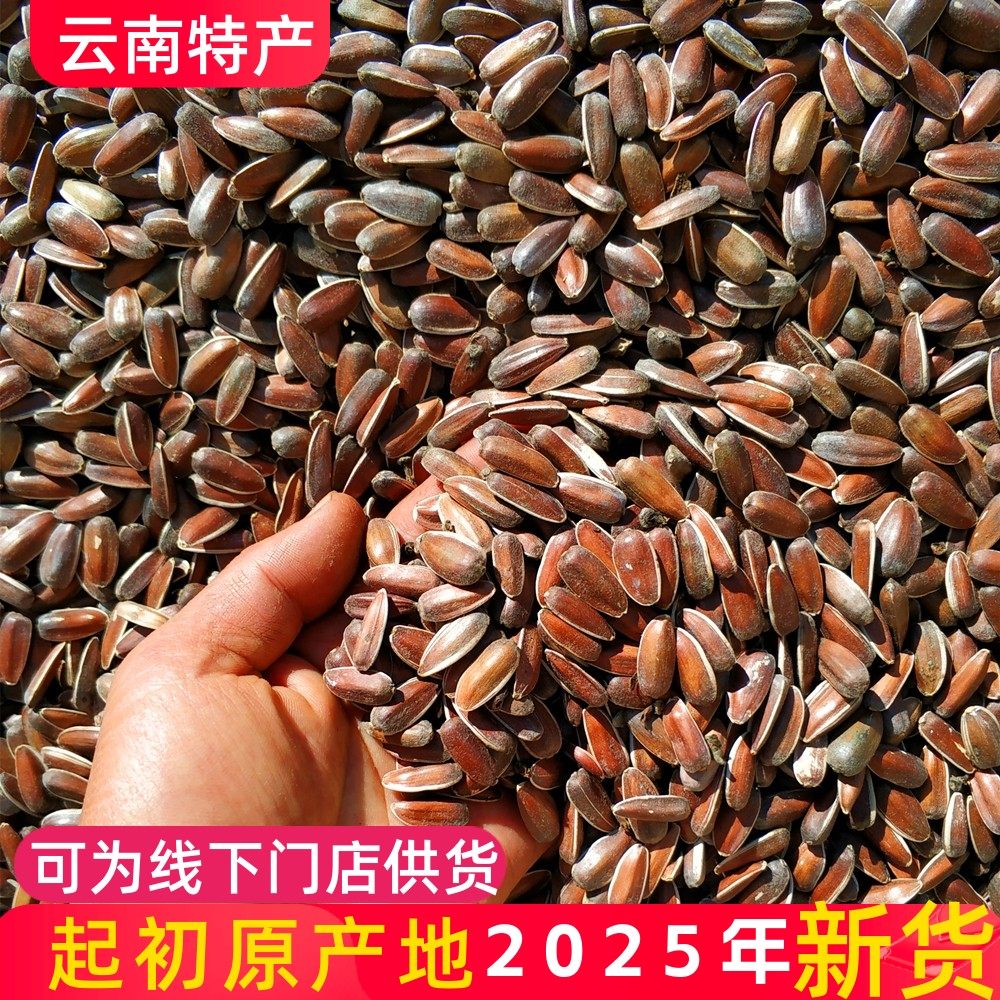 云南特产红皮瓜子红葵花籽大颗粒散装原味孕妇休闲零食甜红瓜子