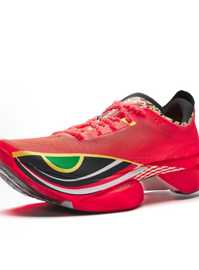 Anta安踏 C10 PRO 2代 醒狮系列 