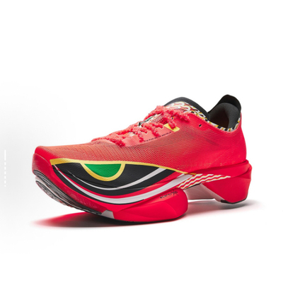 Anta安踏 C10 PRO 2代 醒狮系列 