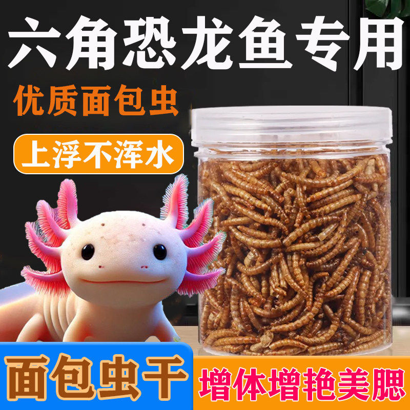 高蛋白虫干虾干六角恐龙鱼饲料