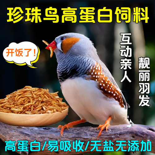 珍珠鸟零食高蛋白面包虫营养鸟食