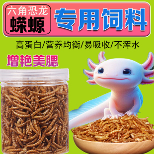 蝾螈专用粮六角恐龙鱼饲料高蛋白面包虫干娃娃鱼龙鱼蝴蝶鲤增色粮