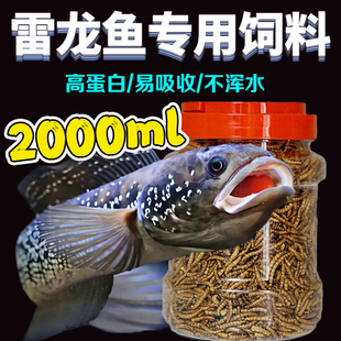 雷龙鱼饲料金龙银龙专用鱼食七彩彩虹玛卡红宝石上浮增色靓麟口粮