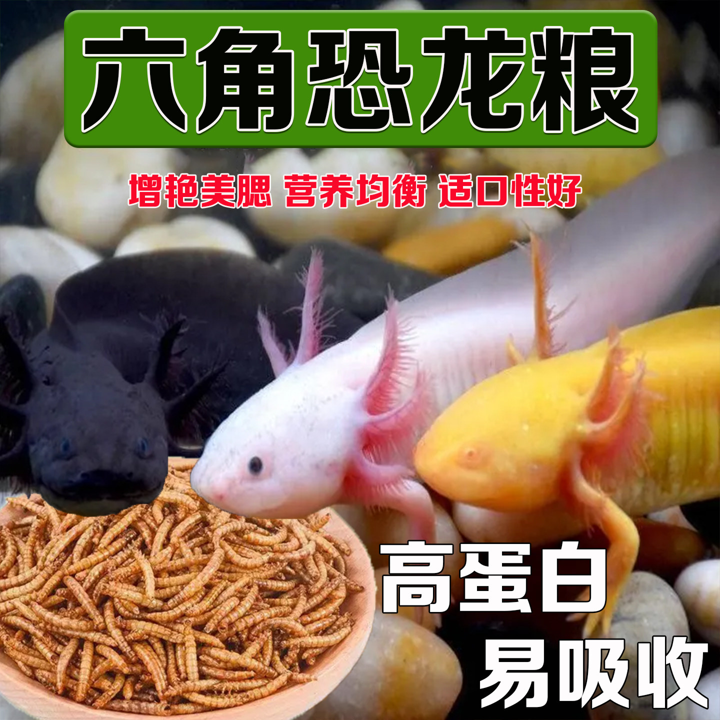 六角恐龙鱼饲料蝾螈优质高蛋白面包虫干雷龙鱼娃娃鱼美鳃增艳鱼食