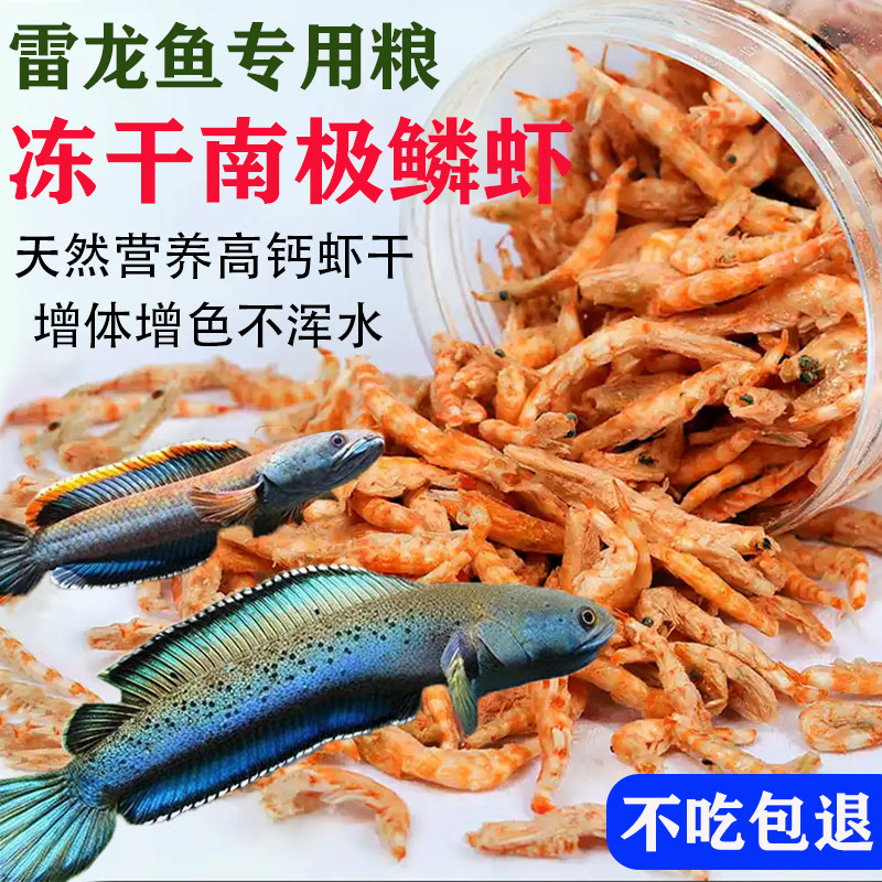 南极鳞虾干雷龙鱼饲料黄金眼镜蛇彩虹鱼食阿萨姆巴卡蓝宝石发色粮