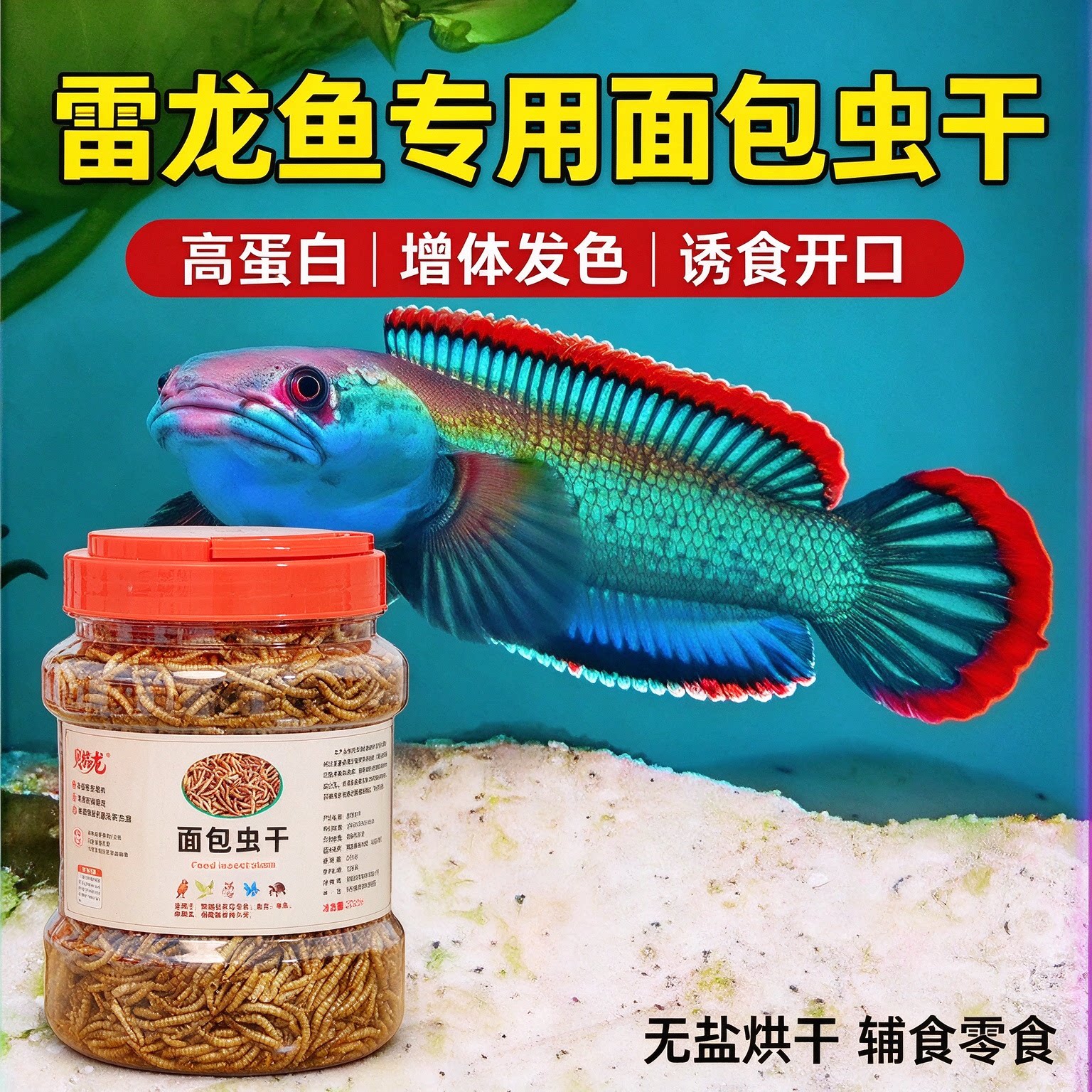 雷龙鱼面包虫干高蛋白增体发色