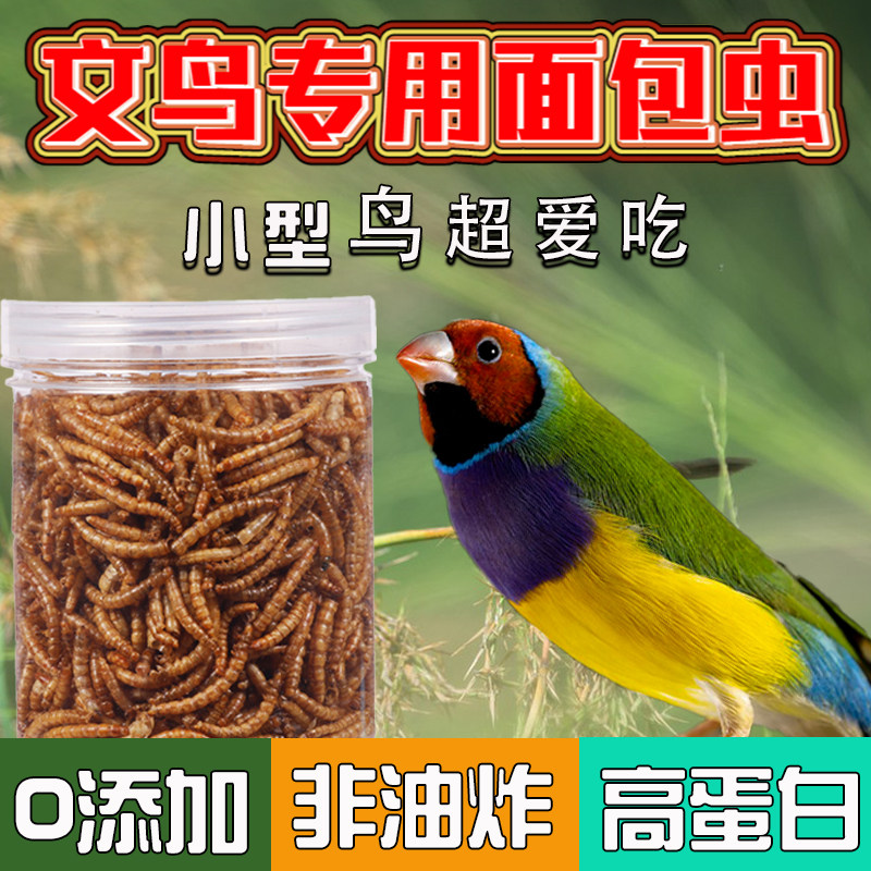 文鸟用面包虫干高蛋白零食
