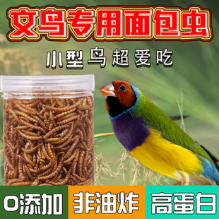 文鸟用面包虫干高蛋白零食七彩文鸟食灰白文鸟幼鸟换羽期营养粮食