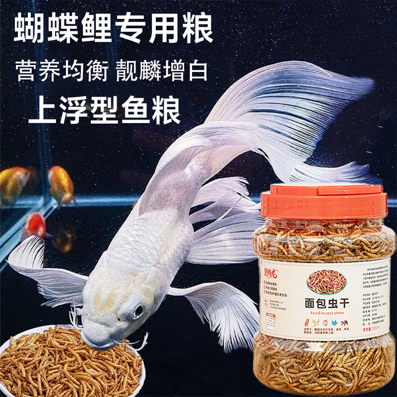 蝴蝶鲤专用饲料锦鲤鱼食