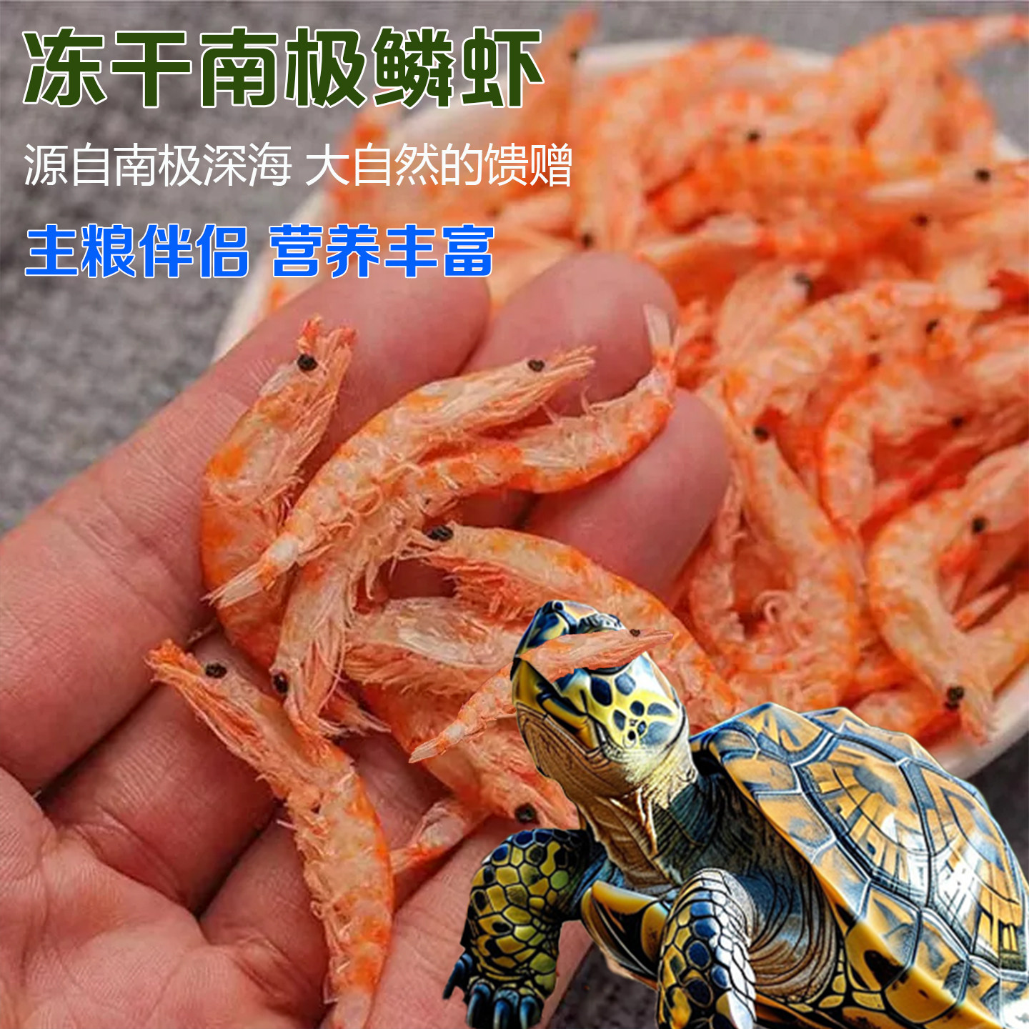 龟粮淡水虾干乌龟鱼干虾干饲料