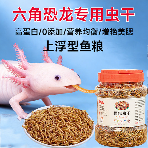 六角恐龙鱼饲料高蛋白面包虫干东方蝾螈清道夫娃娃鱼锦鲤专用鱼食