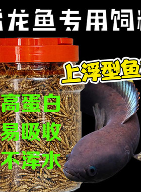 雷龙鱼专用饲料彩虹雷龙鱼增色粮