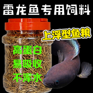 雷龙鱼专用面包虫黄金眼镜蛇彩虹雷龙鱼食阿萨姆巴卡蓝宝石增色粮