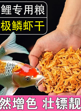 南极磷虾锦鲤专用饲料高钙虾干虫干血鹦鹉罗汉鱼食雷龙鱼增色粮