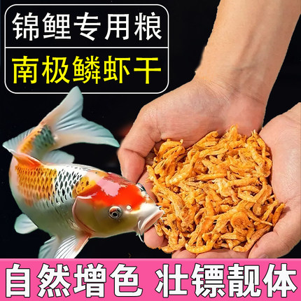 南极磷虾锦鲤专用饲料高钙虾干虫干血鹦鹉罗汉鱼食雷龙鱼增色粮