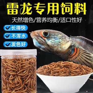 雷龙鱼增色饲料高蛋白虫干虾干