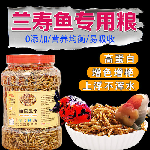 兰寿泰狮金鱼饲料锦鲤高蛋白鱼食