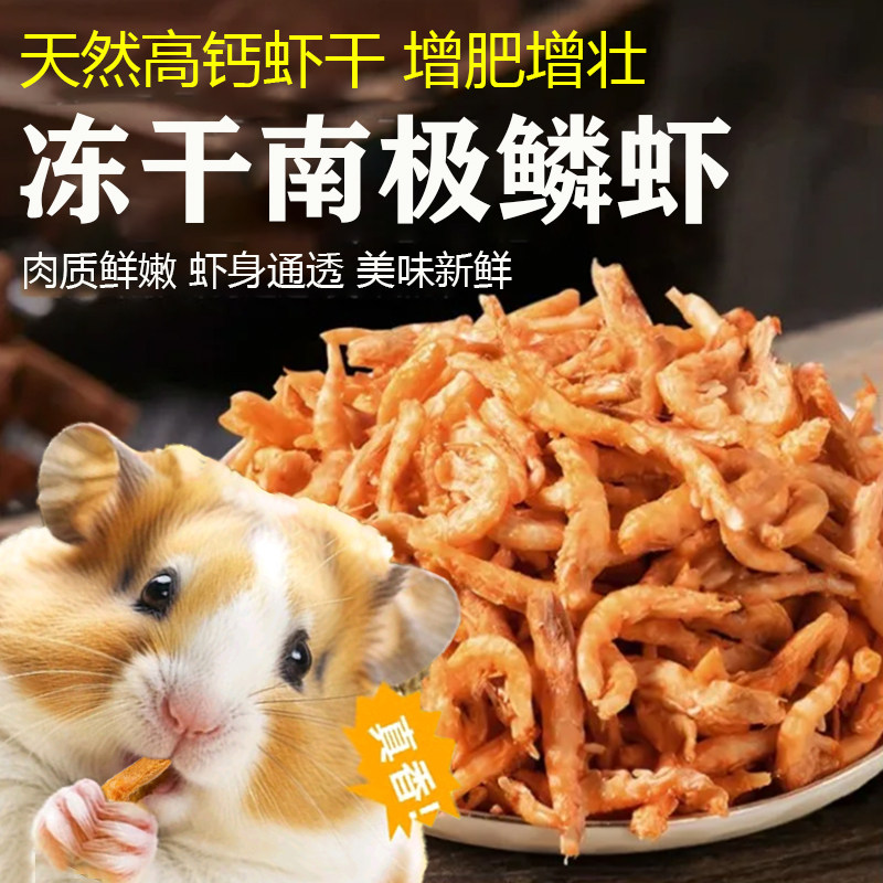 仓鼠零食南极鳞虾干宠物营养零食