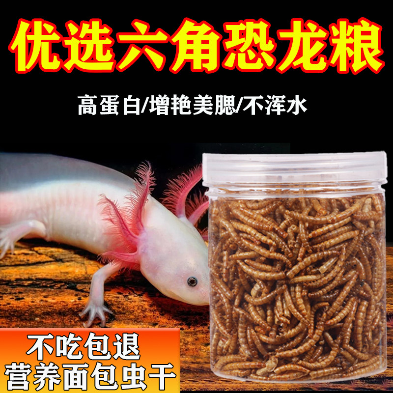 大恐龙面包虫干六恐龙鱼饲料