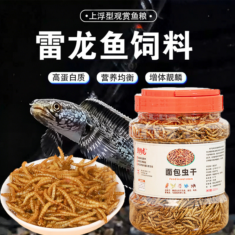 雷龙鱼饲料黄金眼镜蛇七彩虹雷龙鱼粮阿萨姆奶茶六角恐龙发色鱼食
