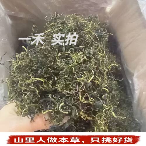长白山野生特级蒲公英根茶花草茶