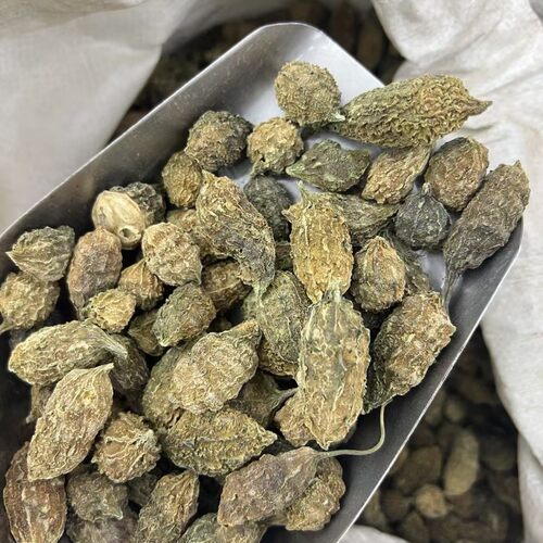 野生小西瓜中药材无熏硫无添加