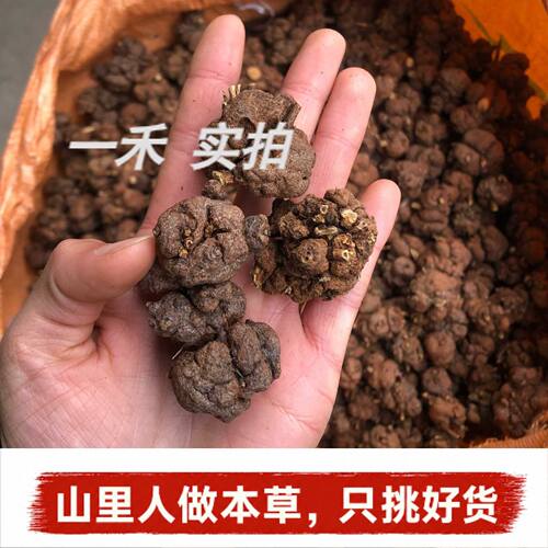 正宗逍留果中药材2斤装煲汤泡茶