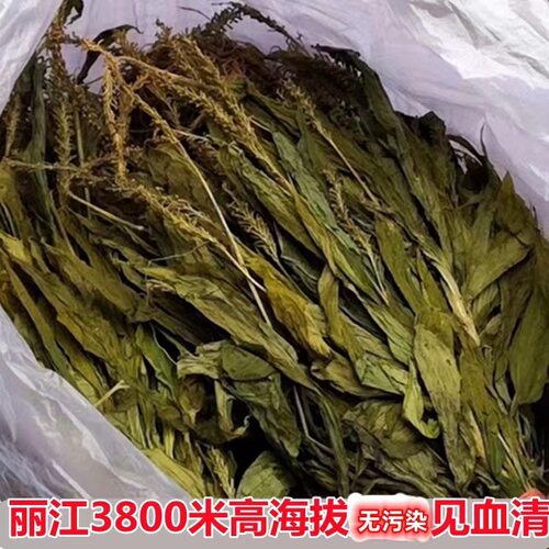 云南正宗野外见血清草药干货