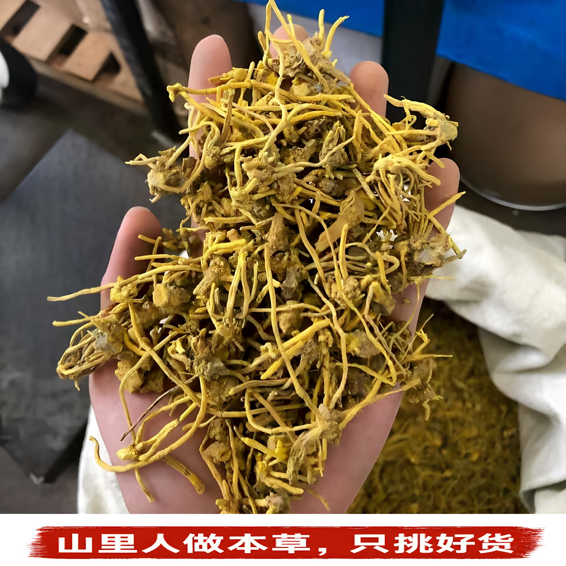 黄龙根】干货黄龙茶黄龙根花茶金龙须金龙根龙须石斛雪山雪龙茶草