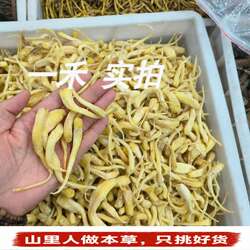 四川峨眉山峨参】干货土田七金山田七鹅参无硫选货煲汤泡酒250g
