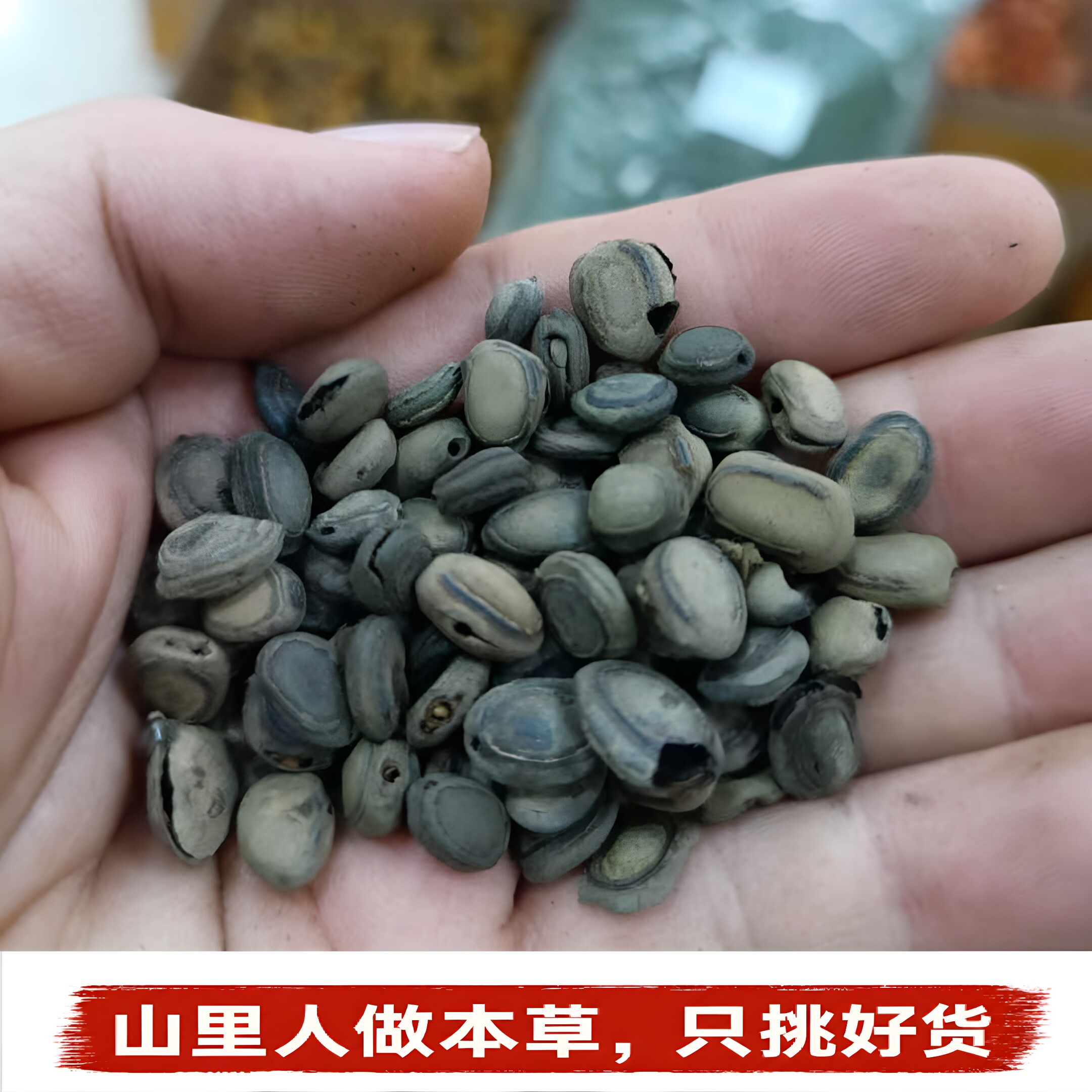猴枣】羊肠枣羊宝羊结石别名猴子枣羊肠枣猴丹天然申枣