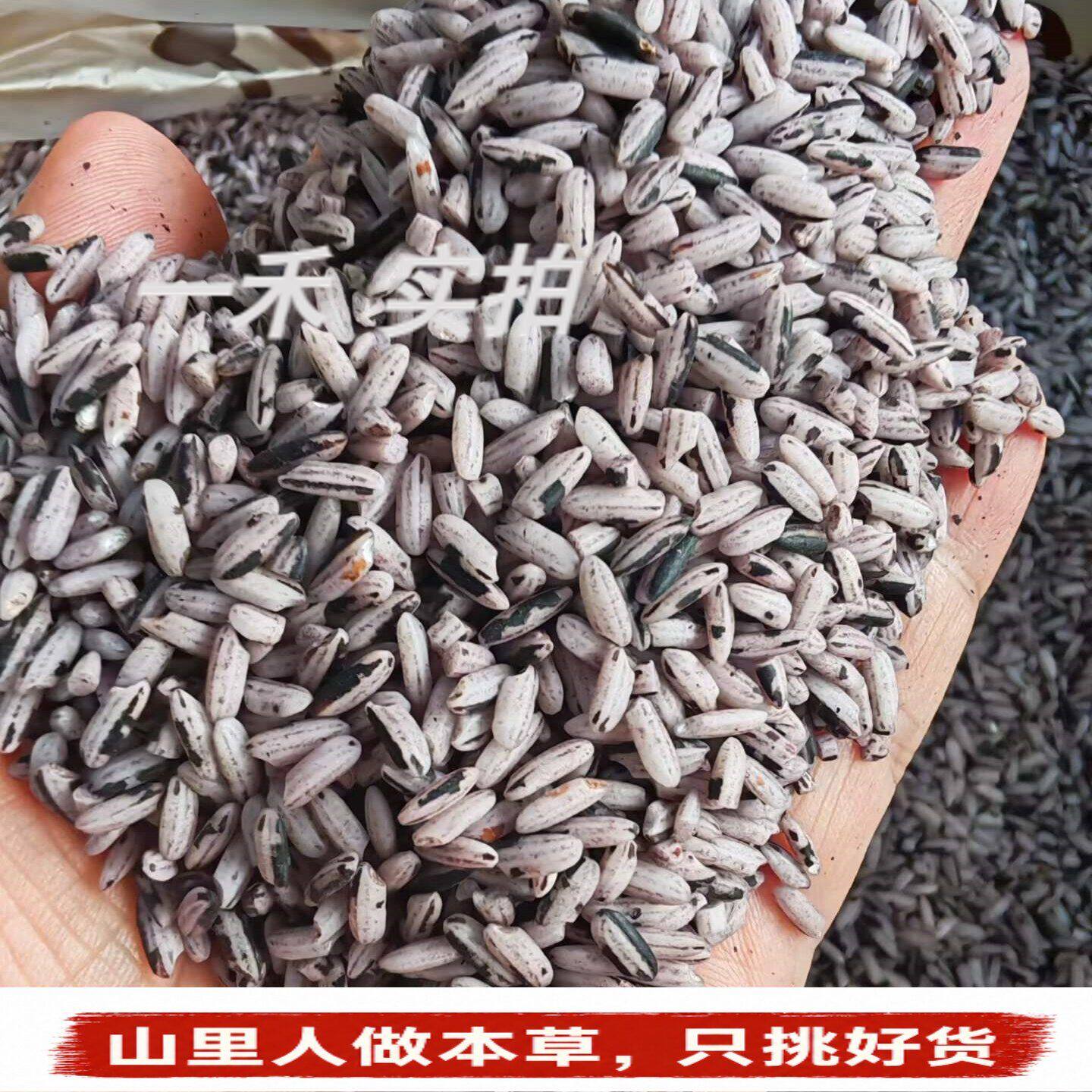 Rice墨江紫米】正宗云南墨江老品种紫米糯米农家自种红江紫新米