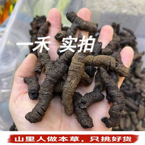 广东特级古法制巴戟天250g大肉