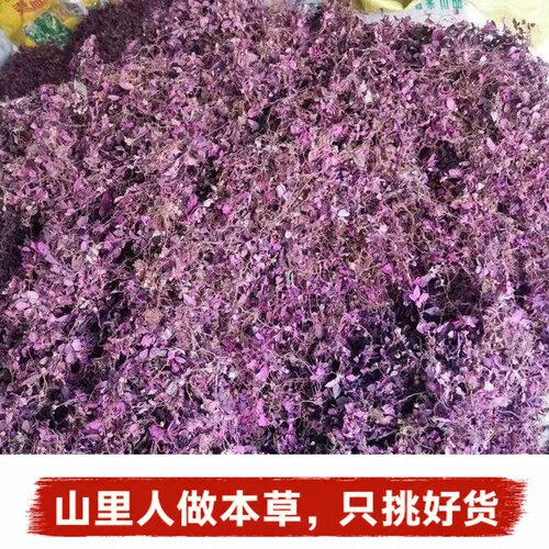风柜斗草蓝红叶酸酸草干货