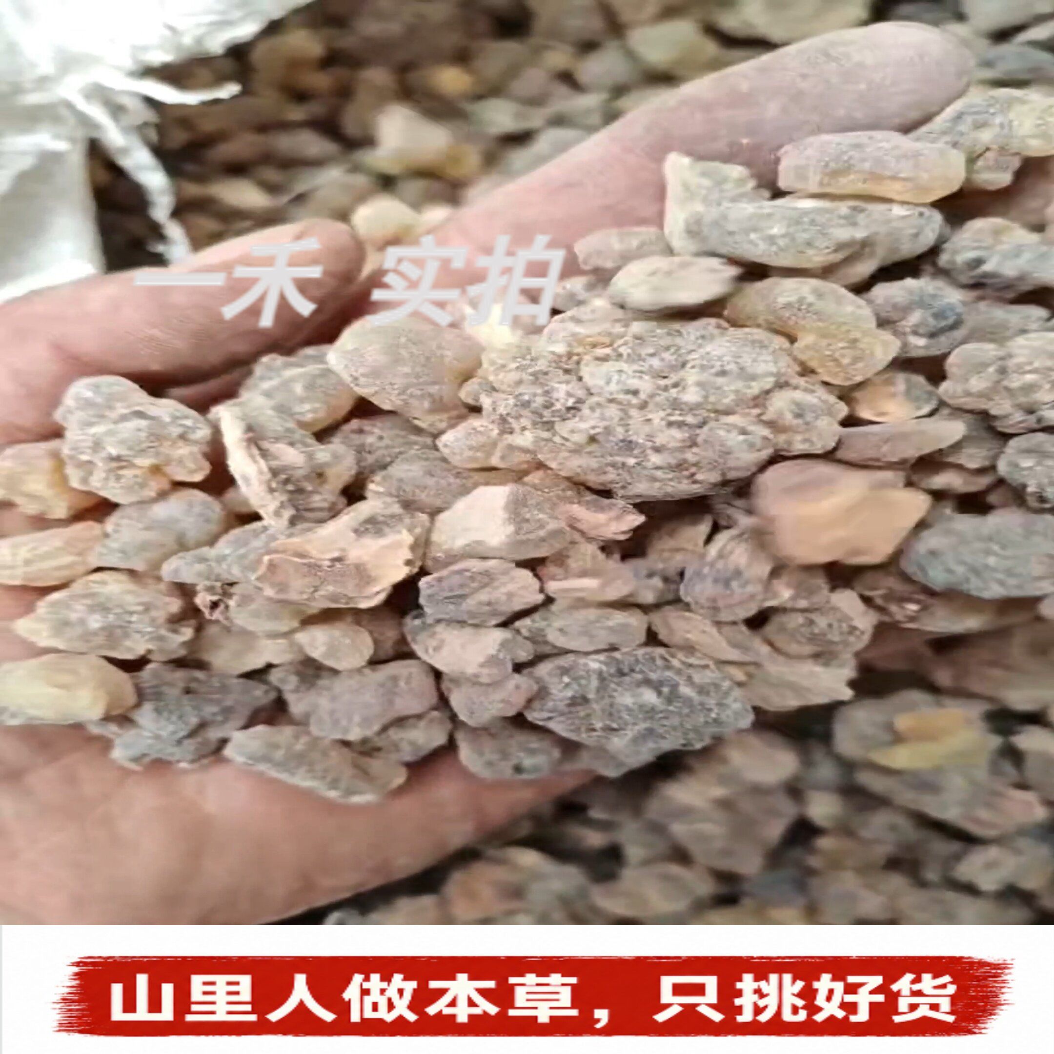 天然乳香珠】特级大个选货马尾香中药材没药打粉熏香手作合香250g