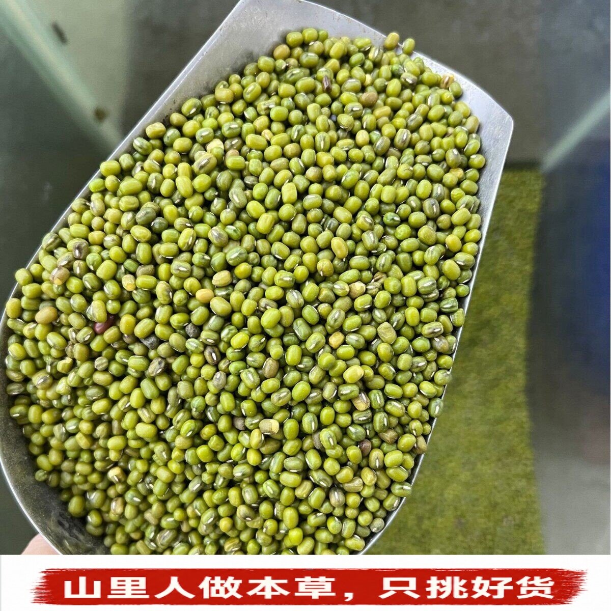 Bean绿豆】农家新货杂粮自产绿豆健康无农药化肥五谷绿豆沙干货