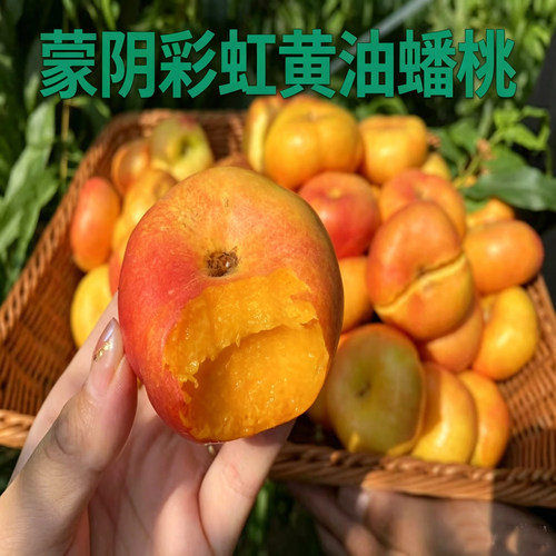 蒙阴彩虹黄油蟠桃
