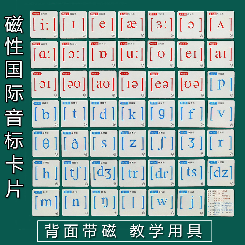 48个卡片小学初中发音英语磁性贴