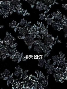 高定黑色真丝丝绒重工刺绣布料亮片钉珠刺绣新中式马甲外套面料