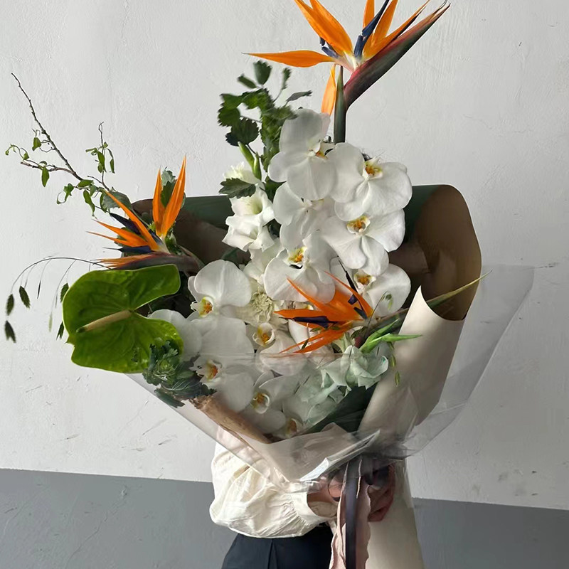 北京鲜花同城速递蝴蝶兰送领导长辈生日纪念升职深圳广州杭州上海
