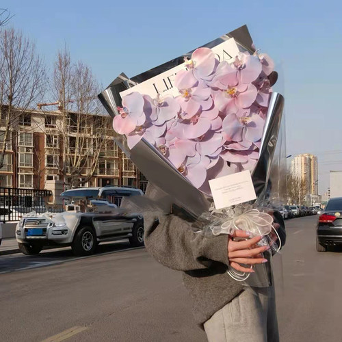 蝴蝶兰花束上海碎冰蓝