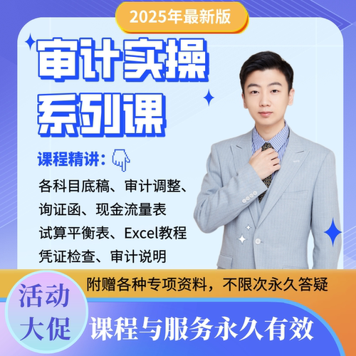 2025审计实操课【底稿课+excel+小白必看+审计调整+现金流+试算】