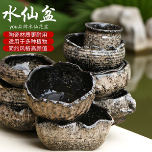 异形无孔水培植物花盆碗莲铜钱草一叶莲巴西木桌面个性创意窑变