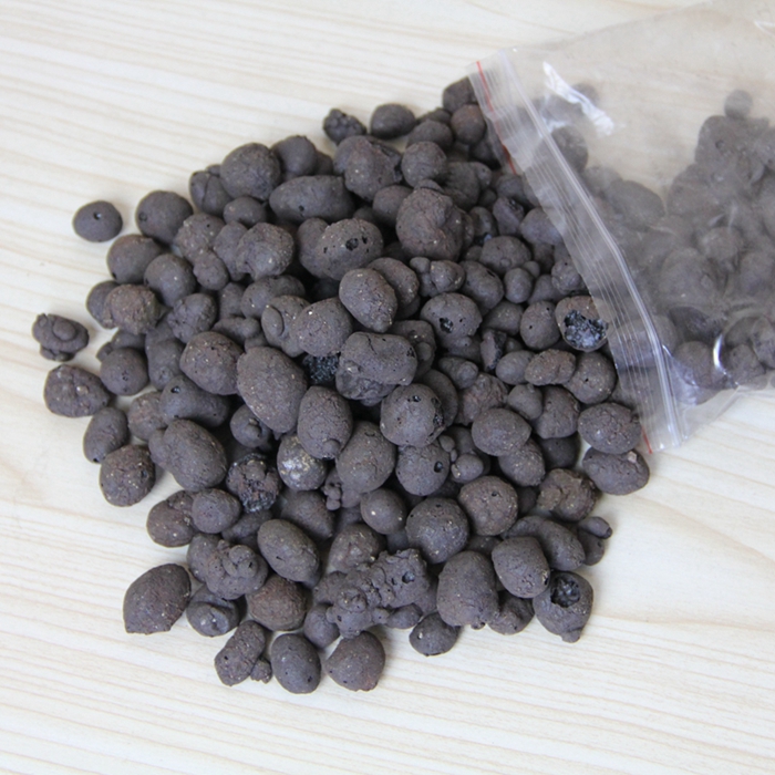 二木多肉植物价格 二木多肉植物图片 星期三