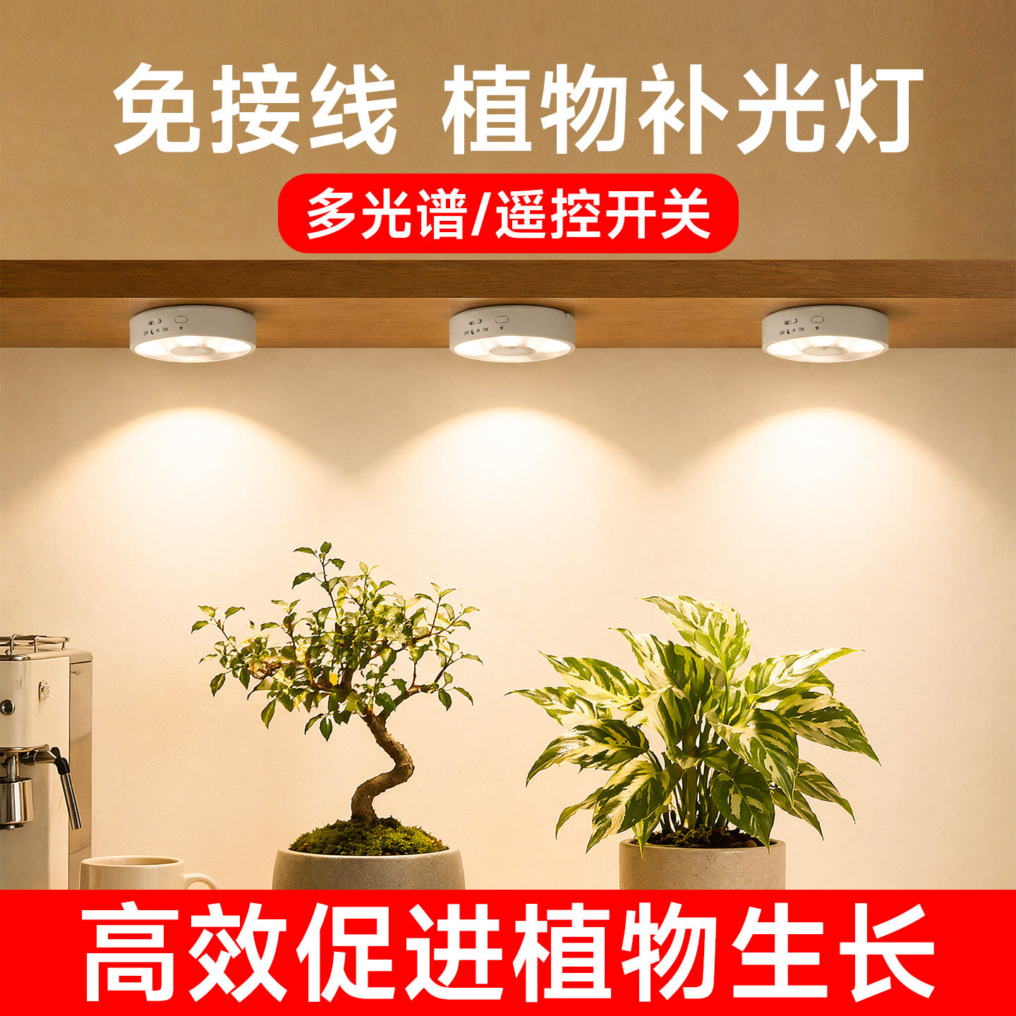 植物补光灯充电款室内多肉光谱模拟仿太阳光灯led绿植专用生长灯图片